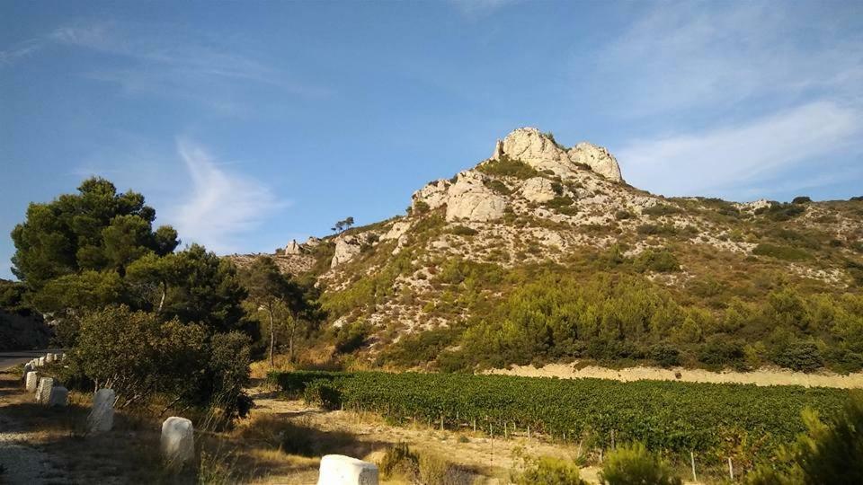 Le Lapin Blanc Appartement Saint-Rémy-de-Provence Buitenkant foto